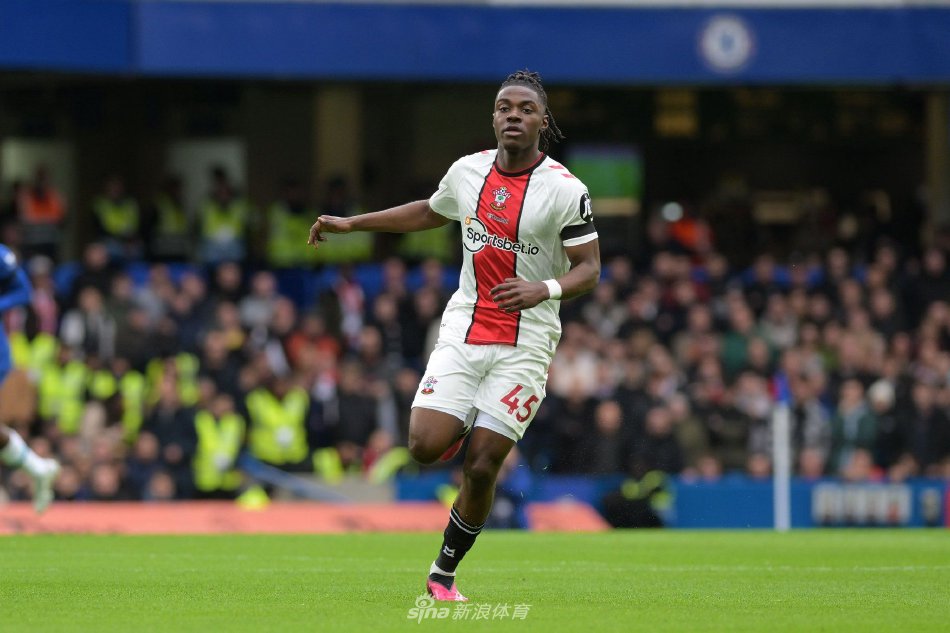 情感和心理 情感和心理